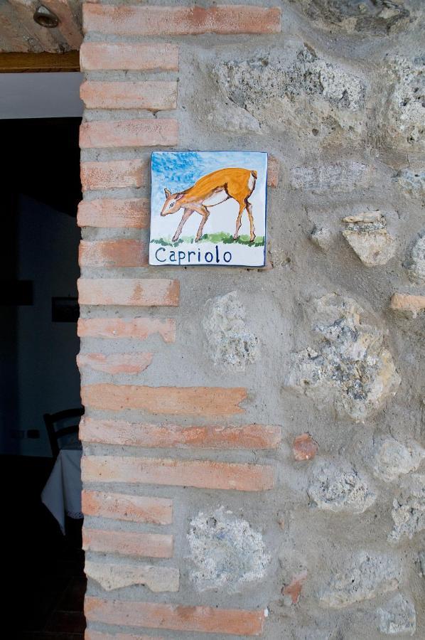 Agriturismo Fontesettimena Appartamento Rondine- Appartamento Capriolo Volterra Eksteriør billede